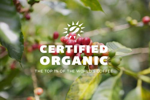 certified_organic_header