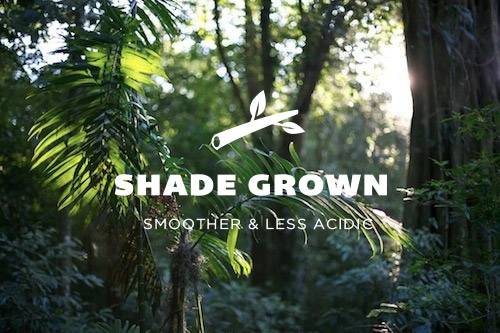 shade_grown_header